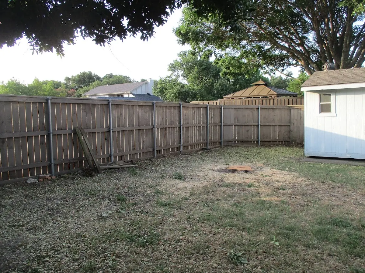 Cleared yard after professional tree removal in West Covina